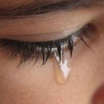 Сълзите на птиците и влечугите приличат на човешките 