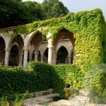 "Тихото гнездо" в "Двореца" в Балчик приема японското изкуство за подреждане на цветя