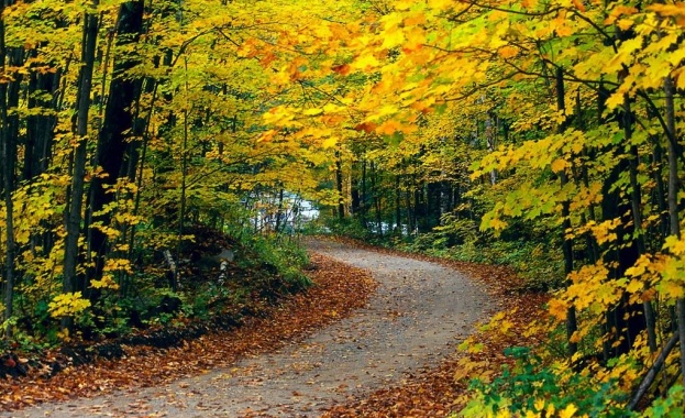 Предстоящи събития в страната за утре, 14 октомври