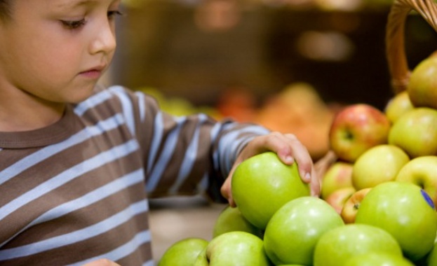До 10 години българският пазар ще остане без ябълки родно производство 