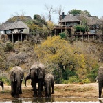 Масова смърт на слонове в Ботсвана