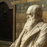 Оцеляват не най-силните...