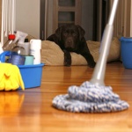 Как да се справим с отпадъците възможно най-лесно?