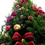 Къде какво в страната днес