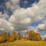 Предстоящи събития в страната за днес, 23 ноември