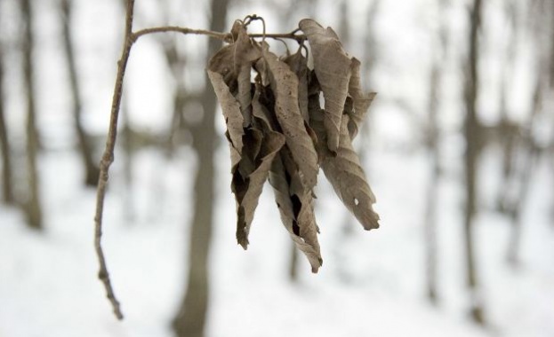 Предстоящи събития в страната за утре, 16 декември 