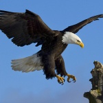 Най-трудно е да вземеш решение...