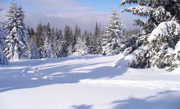 Пострадалият при Боянския водопад е приет в Пирогов с политравма