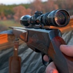 Мрежа от бракониери зарежда ресторантите с дивеч