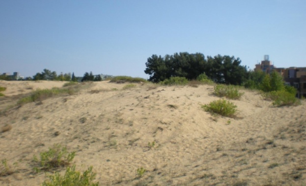 Стопираха багерите на дюните 