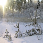 Предстоящи събития в страната 