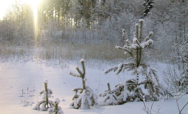 Предстоящи събития в страната за днес, 29 ноември