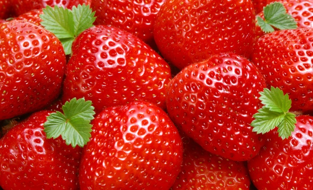 Май и юни е сезонът на вкусните и сочни ягоди
