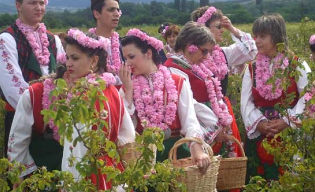 Световен първенец сме в производството на розово масло