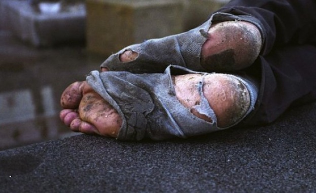 Столична община търси работа на бездомните