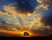 Любовта е...