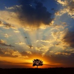 Любовта е...