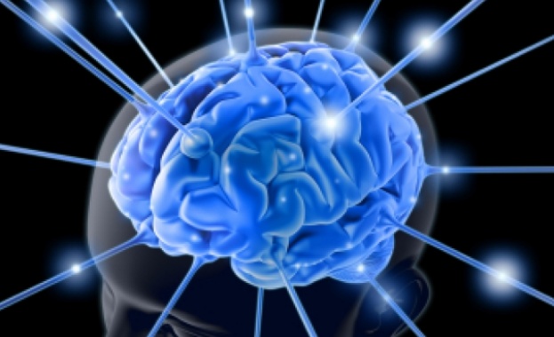 Антисоциалното поведение влияе на мозъка  