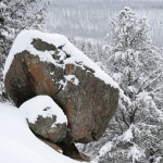 Движението по път II-84 с. Варвара - гара Костандово е спряно