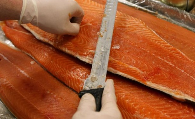 САЩ разреши отглеждането и продажбата на генно-модифицирана сьомга