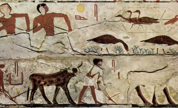 В Египет са открити следи от неизвестна древна цивилизация 