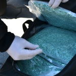 Разбиха две наркобази, задържаха 64 души