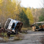 Черна гъба лекува Чернобил, като абсорбира ядрената радиация