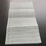 Избори „две в едно" - а дано, ама надали