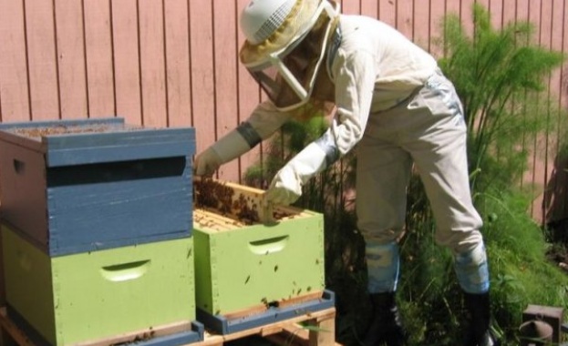 Пчеларите на протест на 10 юни