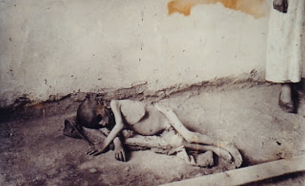 Арменската общност в България се включи в кампанията за набиране