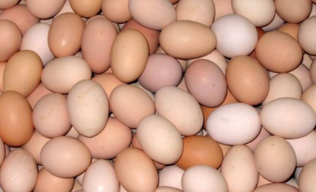 Наложиха възбрана върху яйцата от птицеферма в с. Дончево