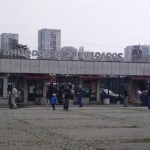 Рекорден брой животни са се родили в столичния зоопарк през 2024 г.