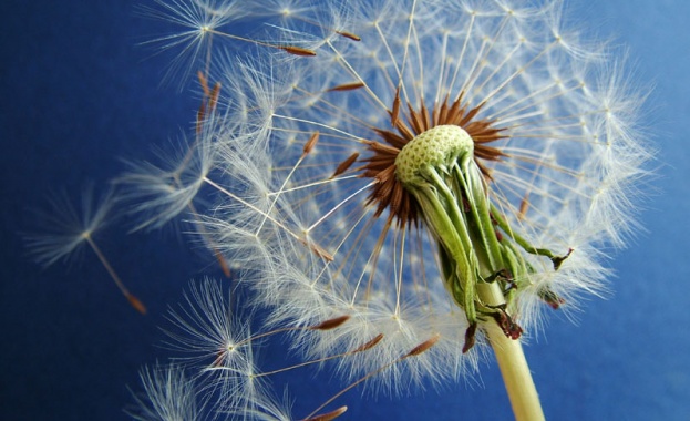 Целта на живота е да откриеш