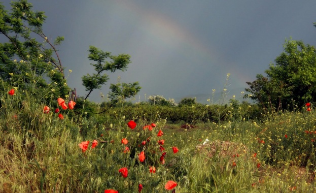 Влажно и топло време през първата половина на юни