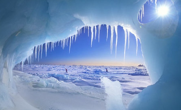 Затоплянето в Арктика "съживява" изчезнали растения