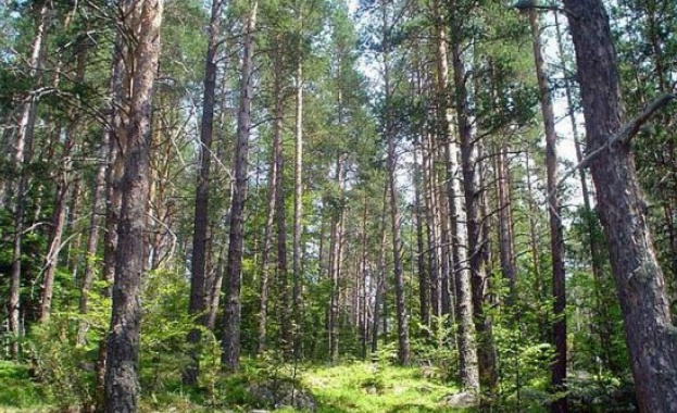 Голям пожар в сухи треви и храсти на изхода на
