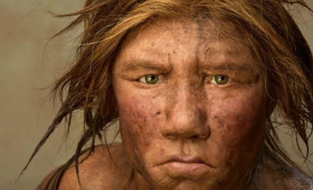 Изследване показва, че преди почти милион години нашите предци едва не са измрели напълно  