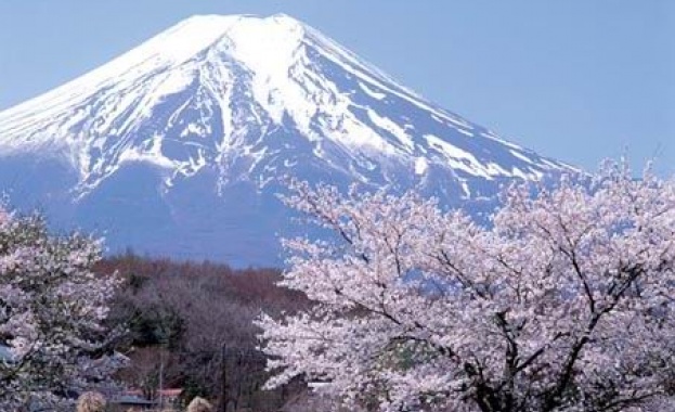 Властите в японски град издигат бариера с височина 2 5 метра