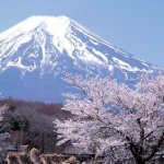 Японски град блокира гледката към планината Фуджи от популярно място за снимки, за да спре тълпите туристи