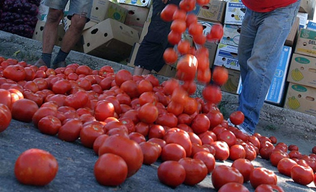 Зеленчукопроизводители са заплашени от масови фалити Заради високите цени на
