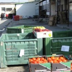 Цените на храните на едро: Зеленчуците поевтиняват, плодовете - не 