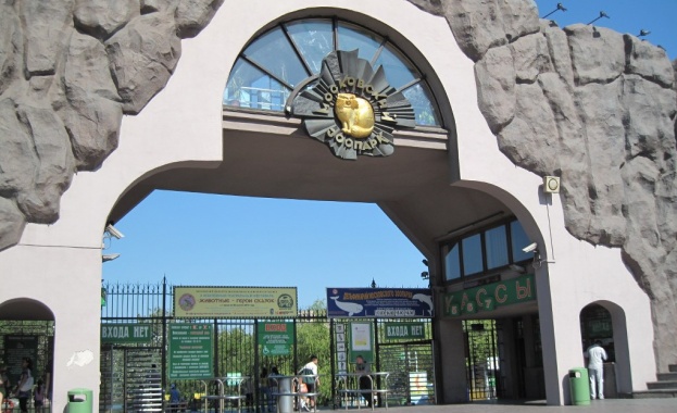 Столичният зоопарк с нови обитатели 