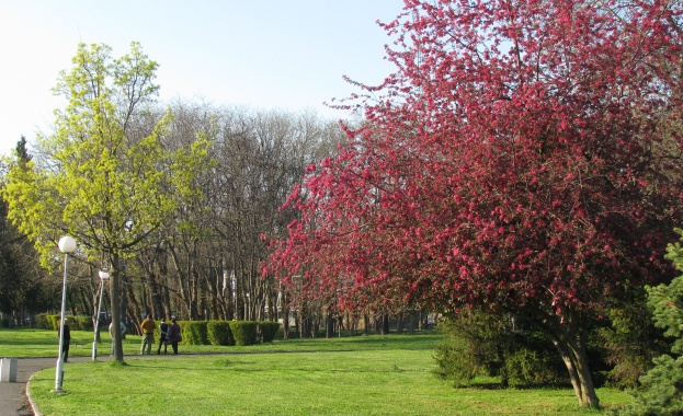 Еколози искат да се забрани строителството в паркове и градинки