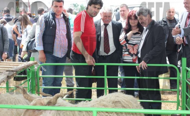 Животновъдите излизат на национален протест