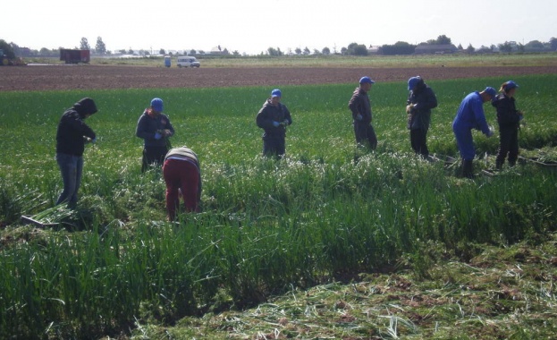 Кампания за превенция на трафик на хора с цел трудова експлоатация се провежда във Варна