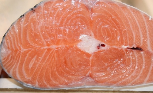 В навечерието на Никулден варненската рибна борса е едно от