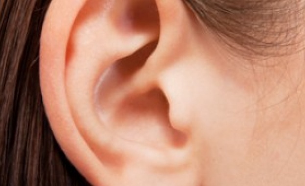 Дългоочакваният от глухата общност у нас специален Закон за българския