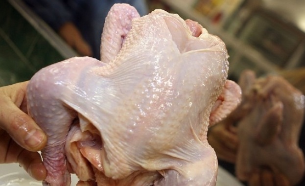 Най-малко 100 тона пилешко месо са заразени със салмонела на българския пазар 