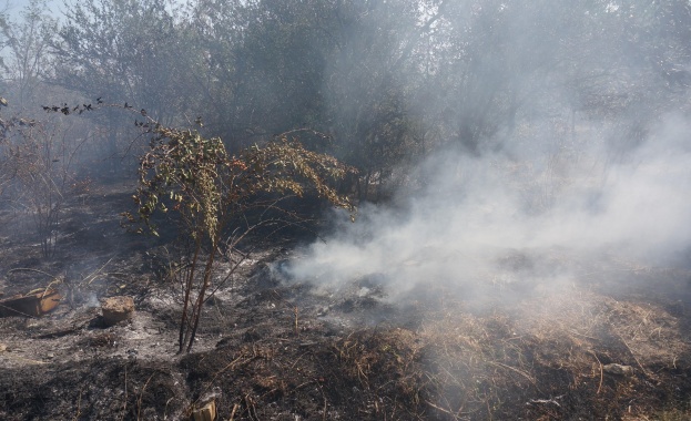 Пожар пламна на Витоша