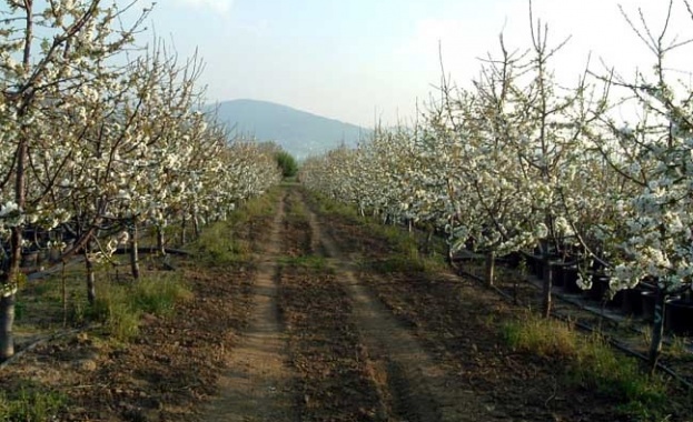 На 13 октомври от 11ч кметът на София Йорданка Фандъкова